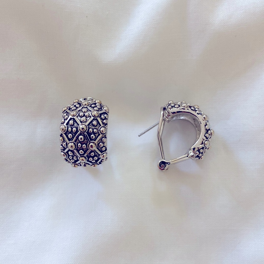 Silver Clasp Earrings